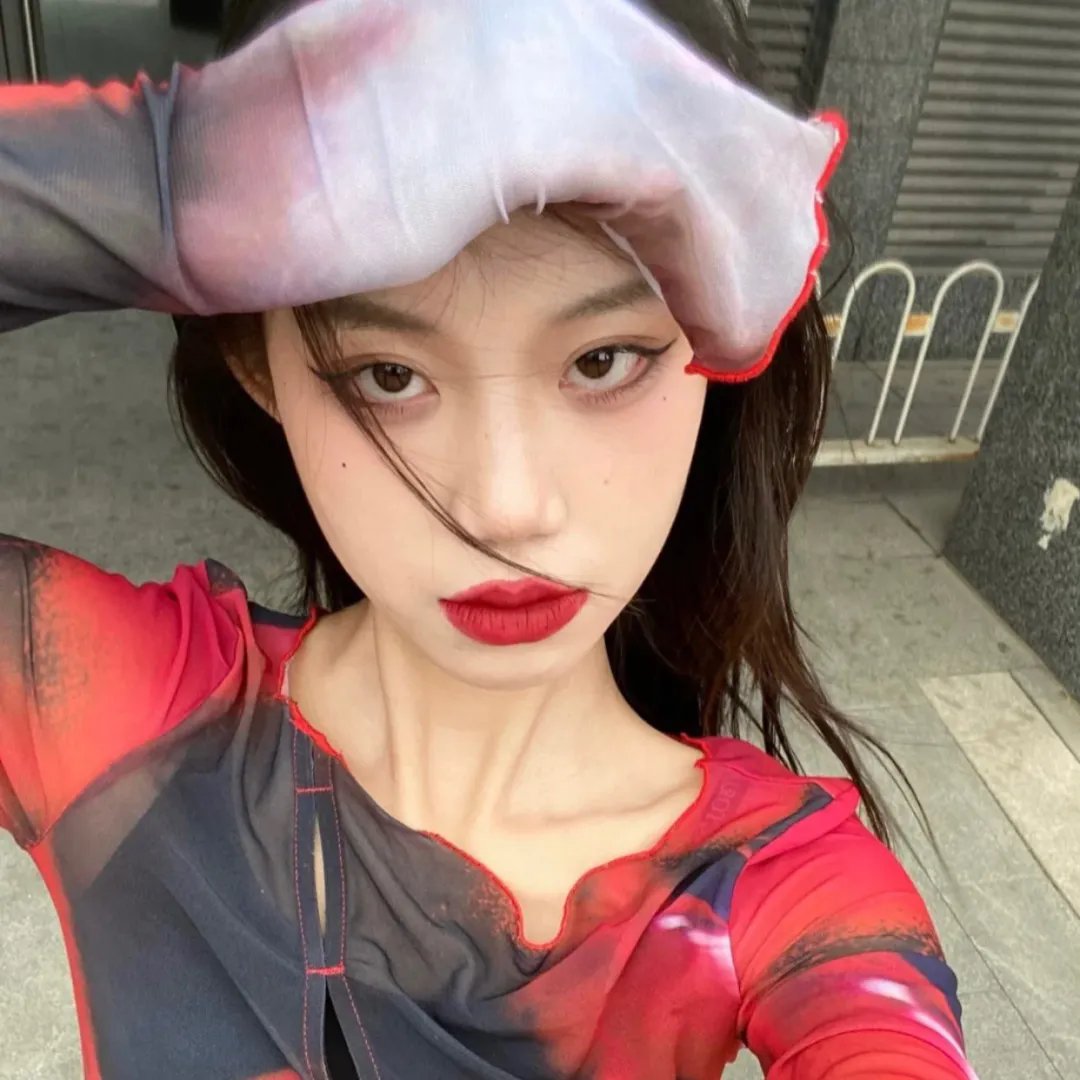 燕子盗
